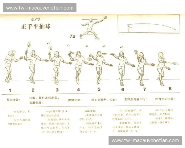 羽毛球分析：技术与策略的完美结合